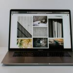 Duis diam nibh, maximus quis enim sit fringilla